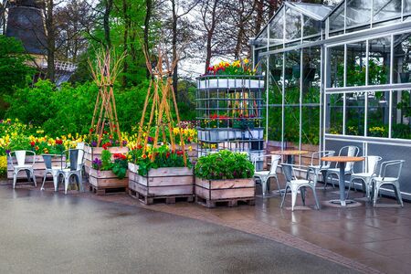 Wonderful spring landscape, fabulous ornamental garden, colorful spring flowers, fresh tulips in the best touristic park. Greenhouse, flower shop and garden furniture in background, near Lisse, Netherlands, Europeのeditorial素材