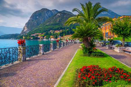 Summer holiday location, spectacular promenade with colorful flowers in public park and palm trees on the shore, Lake Como, Menaggio, Lombardy region, Northern Italy, Europeの写真素材