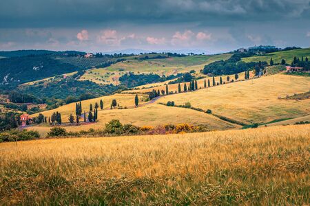 Popular travel and photography destination in Tuscany. Picturesque winding rural road near Monticchiello, Tuscany, Italy, Europeの写真素材