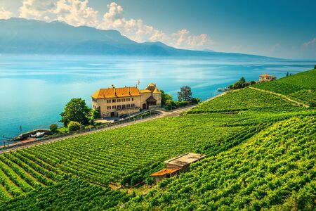 Spectacular terraced vineyard and Lake Geneva. Beautiful place with green vineyards in the famous Lavaux wine region, Rivaz, Canton of Vaud, Switzerland, Europeの写真素材