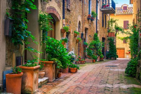 Admirable traditional Tuscany street view. Spectacular medieval stone houses and narrow cute paved street with flowery entrances, Pienza, Tuscany, Italy, Europeの写真素材
