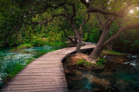 Admirable touristic wooden bridge in the fresh green deep forest. Wooden promenade with clean brook and beautiful waterfalls, Krka National Park, Sibenik, Dalmatia, Croatia, Europeの写真素材