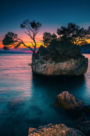 Cute small island with pine trees in the clean bay. Great spectacular nature place with island in the clear sea at sunset, Brela, Makarska riviera, Dalmatia, Croatia, Europeの写真素材