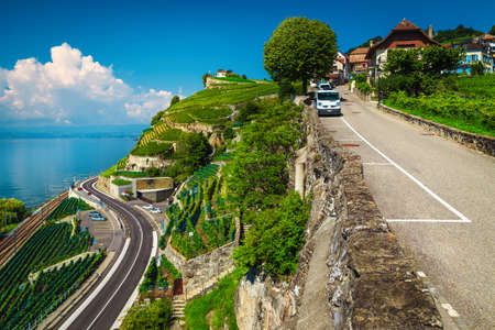 Beautiful terraced vineyards and winding road on the shore of the lake Geneva near Lausanne, Rivaz village, Canton of Vaud, Switzerland, Europeの写真素材