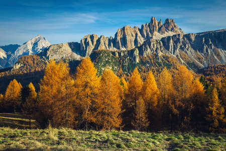 Admirable autumn alpine landscape with colorful larch forest and spectacular mountains in background, Dolomites, Italy, Europeの写真素材