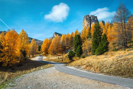 Spectacular winding road in the colorful autumn forest. Yellow larches and beautiful Cinque Torri mountain peaks in background, Dolomites, Italy, Europeの写真素材