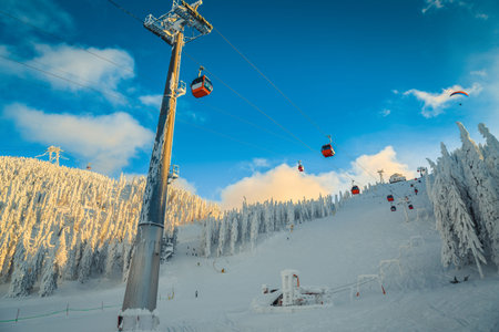 Amazing winter landscape with snowy pine forest. Stunning ski resort with ski gondolas and ski...