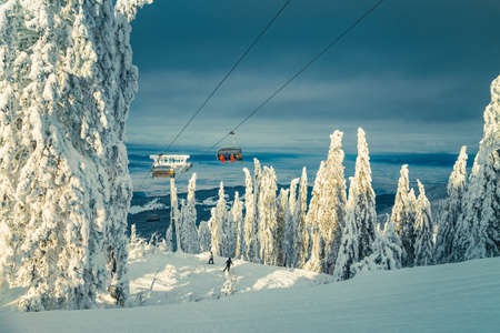 Skiers on the ski lift in the snowy forest. Majestic ski resort with snowy pine trees and skiers on the slope at sunset, Poiana Brasov, Transylvania, Romania, Europeの写真素材