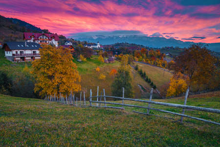 Autumn rural scenery and alpine village with gardens. Colorful deciduous trees and picturesque clouds over the snowy mountains, Magura village, Carpathians, Transylvania, Romania, Europeの写真素材