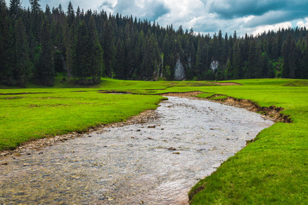 Famous hiking and tourist places in Apuseni mountains. Beautiful winding brook with green fields and...