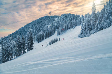 Ski gondolas over the fresh prepared ski routes and snowy forest, Poiana Brasov ski resort, Carpathians, Romania, Europeの写真素材