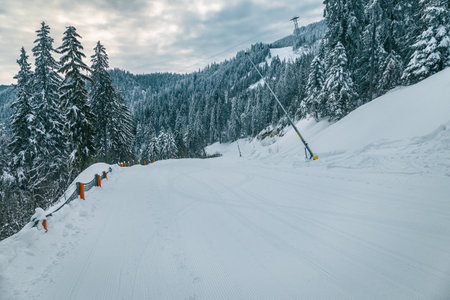 Freshly prepared ski route with snow-guns and snowy pine forest in Poiana Brasov ski resort, Transylvania, Romania, Europeの写真素材