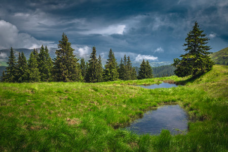 Rainy day with stunning dark clouds and small lakes on the green forest glade