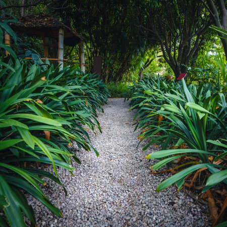 Stunning narrow pathway between the mediterranean green plants in the botanical garden, Menton, Provence Alpes Cote d Azur, France, Europeの写真素材