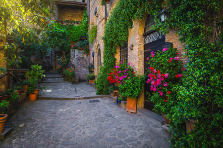 Picturesque arranged colorful flowers and green plants on the wall of stone house, Civita di Bagnoregio, Province of Viterbo, Lazio, Italy, Europeの写真素材