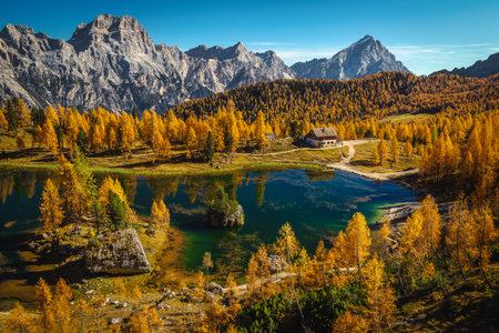 One of the most famous and beautiful small alpine lake in the Dolomites at autumn with yellow larch forest, lake Federa, Italy, Europeの写真素材