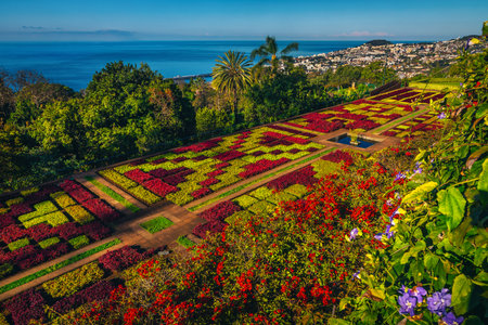 The famous Botanical Garden of Funchal with diverse flowers and tropical plants is one of the most visited destination on the Madeira Island, Portugal, Europeの写真素材