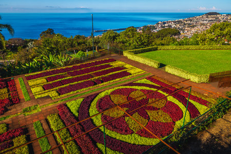 The famous Botanical Garden of Funchal with diverse tropical flowers and spectacular flower beds. One of the most visited destination in Funchal, Madeira Island, Portugal, Europeの写真素材