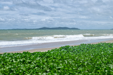 Turquoise sea waves at Rayong Thailand. The beach and Ivy.の写真素材