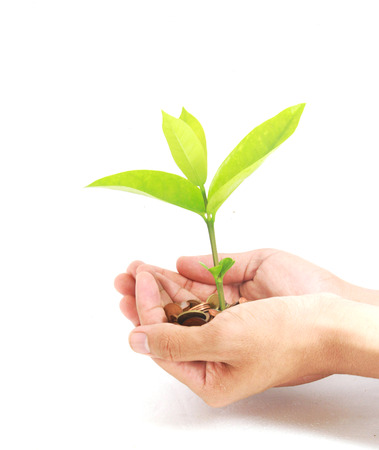 Coins with young plant on human hand. Money growth conceptの写真素材