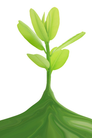 Summer branch with fresh green leavesの写真素材