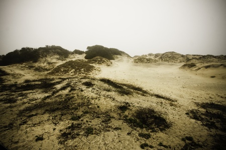 The sand dunesの写真素材