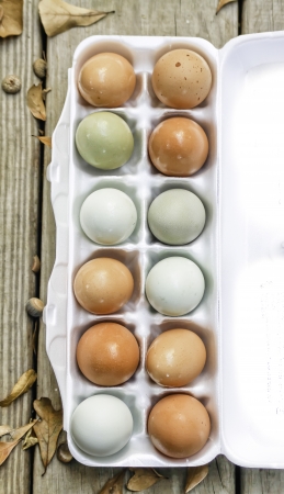 Organic Eggsの写真素材