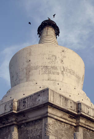 white pagodaの写真素材