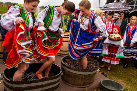 Village Bobovische (Mukachevo district, Zakarpatska region, Ukraine.) - 2016 October 16: Girls in traditional costumes crushed underfoot grapes in a barrel during etnofestival "Bobovischanske Grono 2016". Etnofestival visitors can review with the local trのeditorial素材