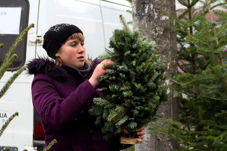 Uzhgorod, Ukraine - December 22, 2012: Girl examines a Christmas tree collected from the branches, on one of the city's markets.のeditorial素材