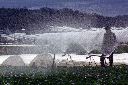 Zarechye, Ukraine - April 19, 2012: The local farmer controls the automatic irrigation system on the plantations of early cabbage at the end of the working day in springtime.のeditorial素材