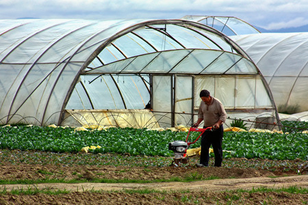Zarechye, Ukraine - April 19, 2012: The local farmer processes his plot with a cultivator on the background of the greenhouses during the field work in the springtime.のeditorial素材