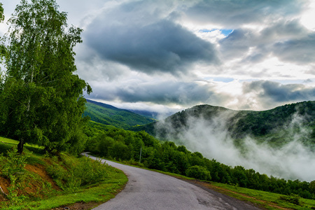 Morning fog rises in the valley among the beautiful spring Carpathians.の写真素材