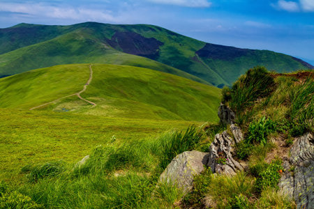 Landscape with a grassy meadow by the road on a hillside. Carpathian mountain range Borzhava in a...