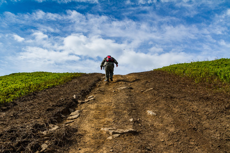 Pylypets, Ukraine - June 25, 2017: The hiker climbs to the peak of Mount Hymba in the Carpathians near the village of Pylypets.のeditorial素材