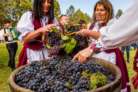 Bobovysche, Ukraine - 2017 October, 7: Women in national costumes fill grapes in a barrel during the ethnic festival Bobovishchenske Grono.のeditorial素材