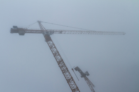 Budapest, Hungary - January 7, 2018: Silhouettes of two plume cranes in the middle of a very dense fog.のeditorial素材
