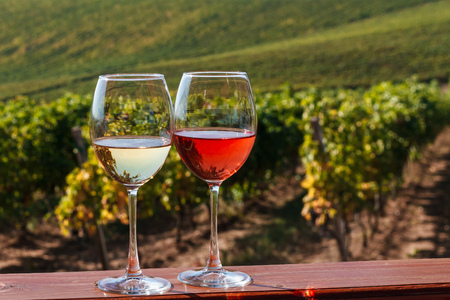 Autumn landscape with glasses of rose and white wine on the background of a vineyard.の写真素材
