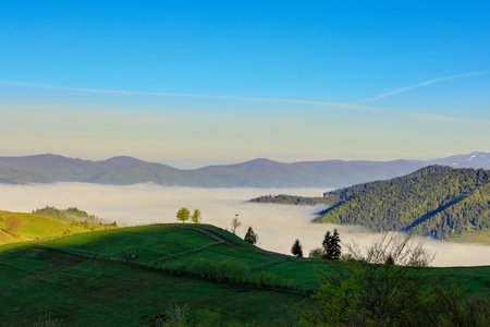 Beautiful landscape with morning fog in a mountain valley. Carpathians. Ukraine.の写真素材