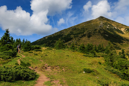 Tourists climb the path to the top of  Mount Petros in the Ukrainian Carpathians. Near the village...