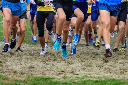 Athletics - Ukrainian Cross Country Championships - Ukraine, Uzhgorod, October 30, 2019: Group of young athletes in action during the Ukrainian Cross Country Championship.のeditorial素材