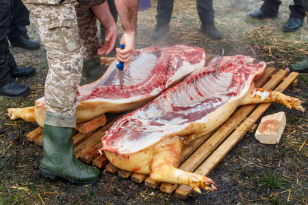 Hecha, western Ukraine - January 25, 2020: A butcher cuts a carcass of a pig during the pig...