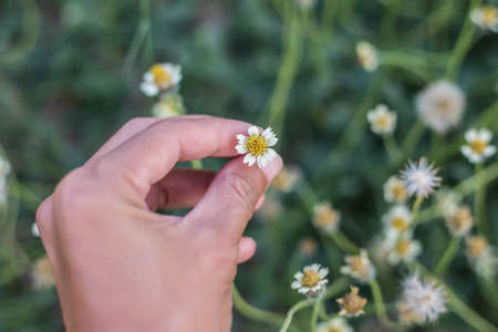 hand with flowersの写真素材