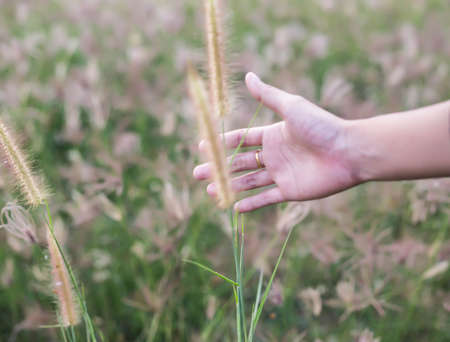 hand with flowersの写真素材