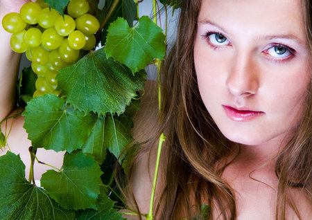 Beautiful green grapeの写真素材