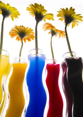 Colourfulの写真素材