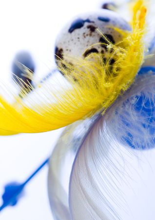 Easter symbolの写真素材