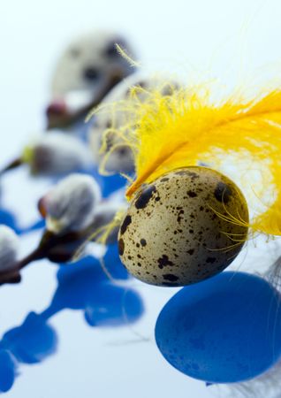 Easter symbolの写真素材