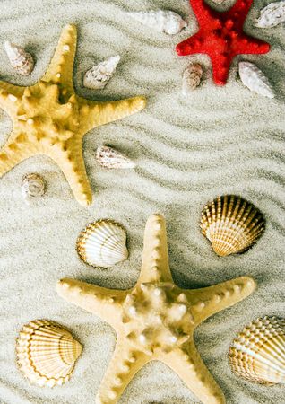 Seastarの写真素材