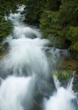 Stream in mountainsの写真素材